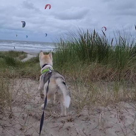 コクセッド Surfinヴィラ エクステリア 写真